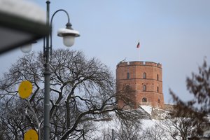 Į muziejų – su storesne pinigine, bet galima ir nemokamai