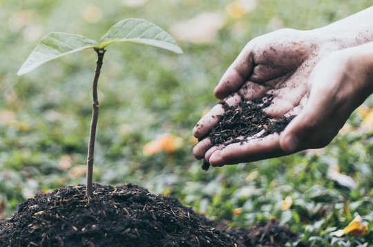 Europos Žaliasis kursas žemdirbių pajamas gali sumažinti 12 mlrd. eurų