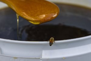 Bitininkams – daugiau kaip milijonas eurų paramos