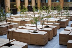 Y. Ono instaliacija: Lietuvos banko rūmuose Kaune iš karstų išdygo miškelis