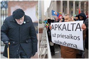 V. Landsbergiui – ilgamečio konservatoriaus kritika: „Nereikėtų švaistytis tokiais žodžiais“