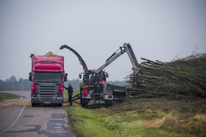 Dujų kaina nežmoniškai auga – neatsilieka ir biokuras: kai kam tai tiesiog galimybė užsidirbti