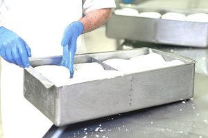 Nuo virškinimo iki maisto gaminimo: kaip veikia ir kam naudojami fermentai?