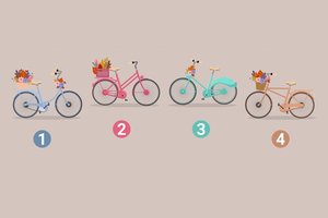 Kuris dviratis labiausiai patinka? Tai daug pasako apie jus