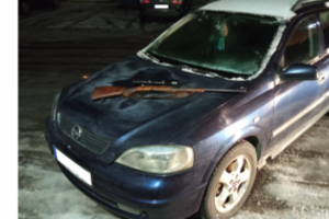 Sumedžioto ir nuslėpto šerno kaina – automobilis, šautuvas, apie 5500 eurų ir teisės medžioti praradimas