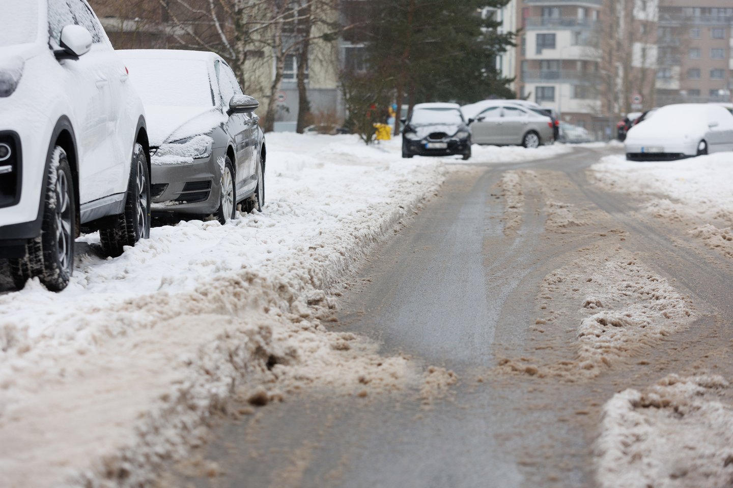 Vilniaus savivaldybės atstovai pažymėjo, kad žiemos darbai nėra vien tik sniego valymas, pėsčiųjų takų ar važiuojamosios kelio dalies barstymas.<br>T.Bauro nuotr.