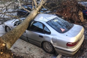 Po stiprių vėtrų – kurioziški skundai: į automobilį atskriejo šiukšlių konteineris