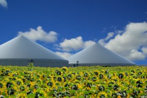 Kartu su tarptautine komanda lietuviai siūlys pokyčius Europos maisto tiekimo grandinėje
