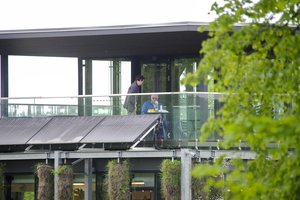 Žalieji stogai: Lietuvoje į juos žiūrima atsargiai, pasaulis atranda vis daugiau privalumų