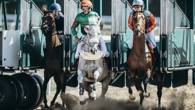 Floridoje surengtos didžiulio ažiotažo JAV sulaukiančios žirgų lenktynės: nugalėtojui atiteko 3 mln. dolerių