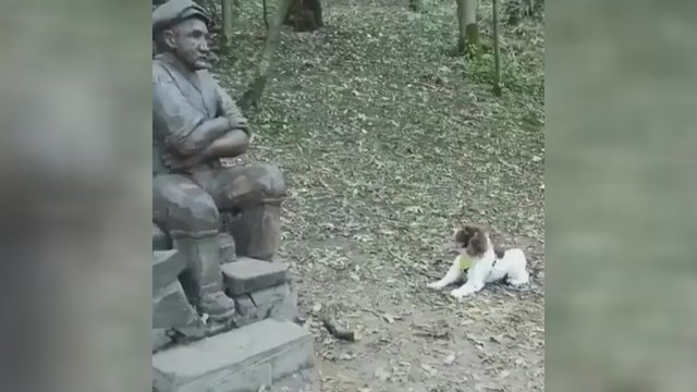 Internete smarkiai populiarėja juokingas šuns elgesys: skulptūra augintiniui sukėlė pasimetimą