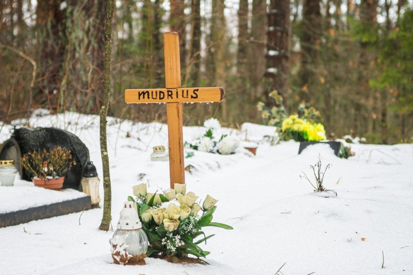 Netoli Miežiškių – nelegali gyvūnų laidojimo vieta.<br> R.Ančerevičiaus nuotr.