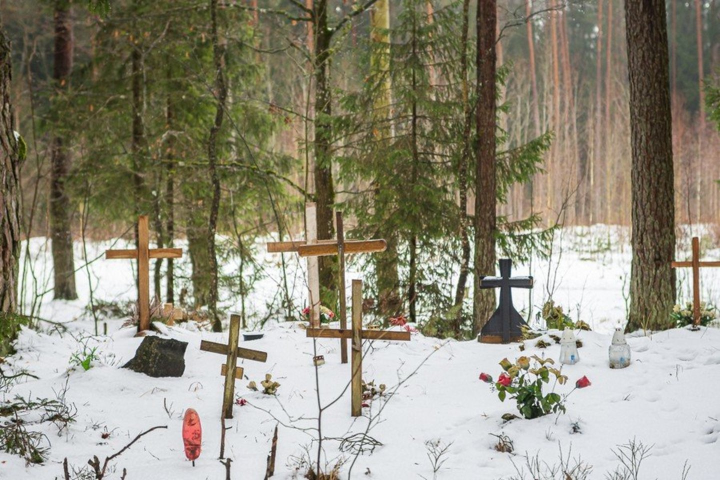  Netoli Miežiškių – nelegali gyvūnų laidojimo vieta.<br> R.Ančerevičiaus nuotr.