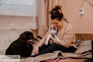 Teletabio vardą gavęs katinas ir animacinio filmuko herojumi pavadintas šuo iš karto tapo geriausiais draugais