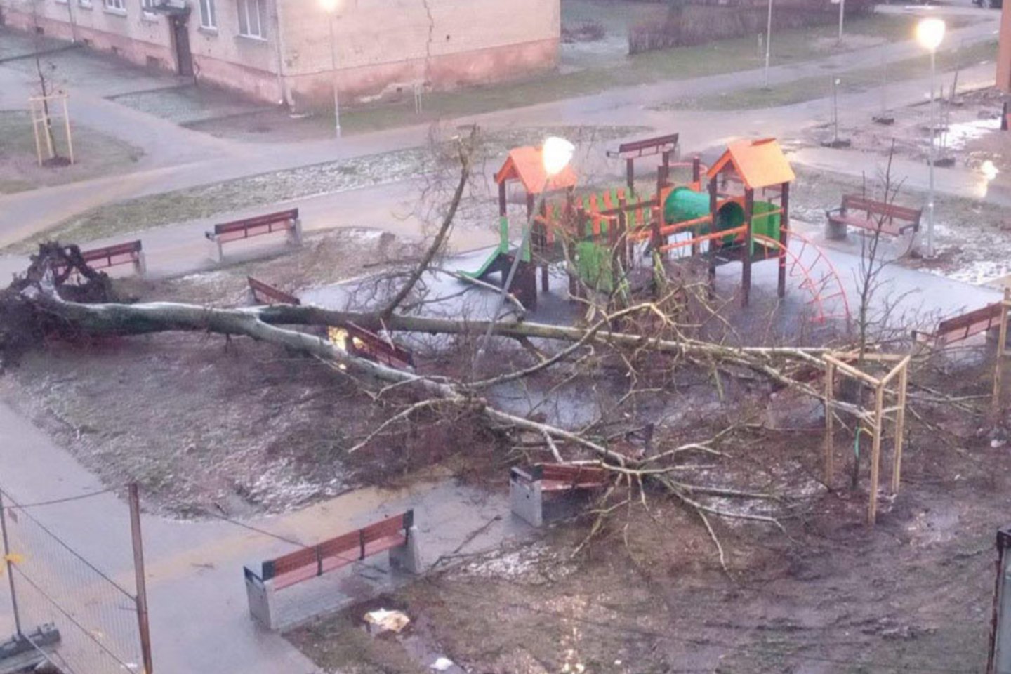 Praūžęs uraganas Klaipėdoje išlaužė daugybę medžių.<br>ve.lt nuotr. 