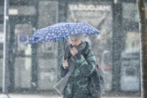 Prakalbo apie galimybių paso likimą ir neatliktus valdžios namų darbus: atsisakyti šio dokumento reikėjo jau seniai