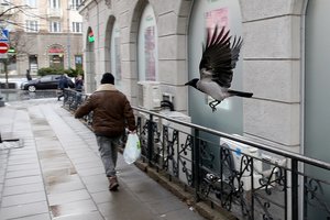 J. Sejonienė: žmonės su pasipriešinimu reaguos, jeigu įvyks „jo-jo“ efektas