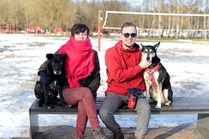 Vienas šuo prieglaudoje puolė į glėbį, kitą rado besiblaškantį ant kelio – netrukus iškeliavo į Vaivorykštės šalį