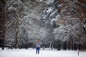 Priminė, ką reikia žinoti poilsiaujant miške žiemą: kai kurias taisykles dalis užmiršta