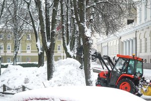 Stebisi tvarkomais keliais: sniegą pila ant medžių, siauras gatveles visai užmiršo – naujai įmonei jau skaičiuojamos baudos