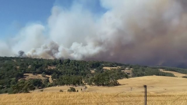 Australijoje kilo trečiasis krūmynų gaisras: liepsnos naikina namus, žmonės priversti evakuotis