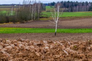 Investicijoms į žemės ūkio valdas – 36 mln. eurų