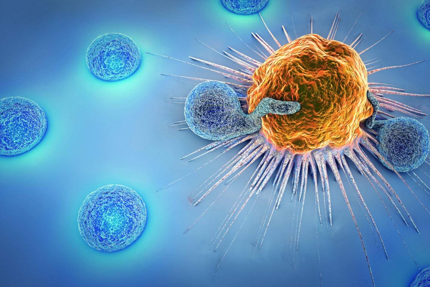 Vėžio ląstelė ir limfocitai<br>123rf iliustr.