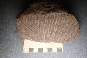 Statydami miestą aptiko ledynmečio eros palikimą