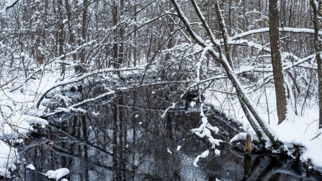 Didesnėje šalies dalyje numatomi krituliai: nerims apysmarkis vėjas