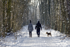 10 tūkst. žingsnių per dieną – daug ar mažai? Kineziterapeutė pasakoja, kaip vaikščioti nekenkiant savo sveikatai