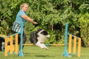 Vedžiodami šunį nuobodžiaujate ir jūs, ir jis? Išbandykite šį tą įdomesnio