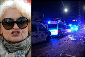 Mitingą prie Seimo, kuris baigėsi riaušėmis, organizavusios A. G. Astrauskaitės namuose atlikta krata