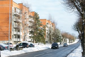 Ekonomistė: sunkiai tikėtina, kad visuotinis NT mokestis gali būti įvestas šiemet
