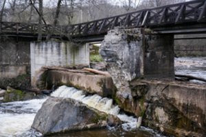 Apklausa: gyventojai apie užtvankų žalą gamtai žino, bet linkę užmerkti akis