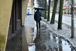 Posėdyje tarp seniūnaičių ir valdininkų kilo konfliktas: vieni įsižeidė, antri – baiminasi prarasti milijonus, skirtus infrastruktūrai