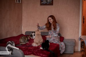 Ingos ir jos vyro namuose laimę rado 11 išduotų ir nuskriaustų širdelių: istorijos – viena už kitą skaudesnės