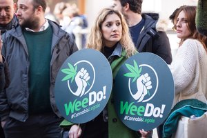 Italijos Konstitucinis teismas laiko nepriimtinu referendumą dėl kanapių auginimo dekriminalizacijos