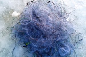 Akcija „Lydeka“: Ignalinos rajone sulaikytas pažeidėjas, nustatyti ir ištraukti bešeimininkiai tinklai