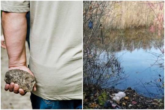 Sergantį šunį nutarė ne užmigdyti, o užmušti: teisme atgailavusiems budeliams bausmės buvo sumažintos