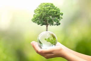 7 teorijos, iš kur Žemėje atsirado gyvybė