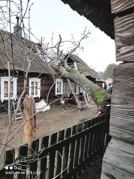 Kaip gyveno Lietuva per savaitę: nuo Visagino iki pajūrio