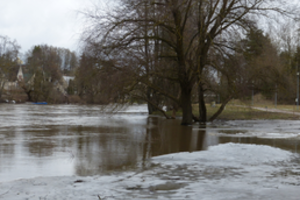 Šventoji vėl lipa iš krantų