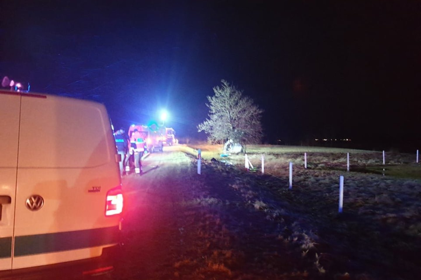 Automobiliui Panevėžio rajone atsitrenkus į medį, vienas žmogus žuvo, kitas sužalotas.<br>Gražvydo K. nuotr.