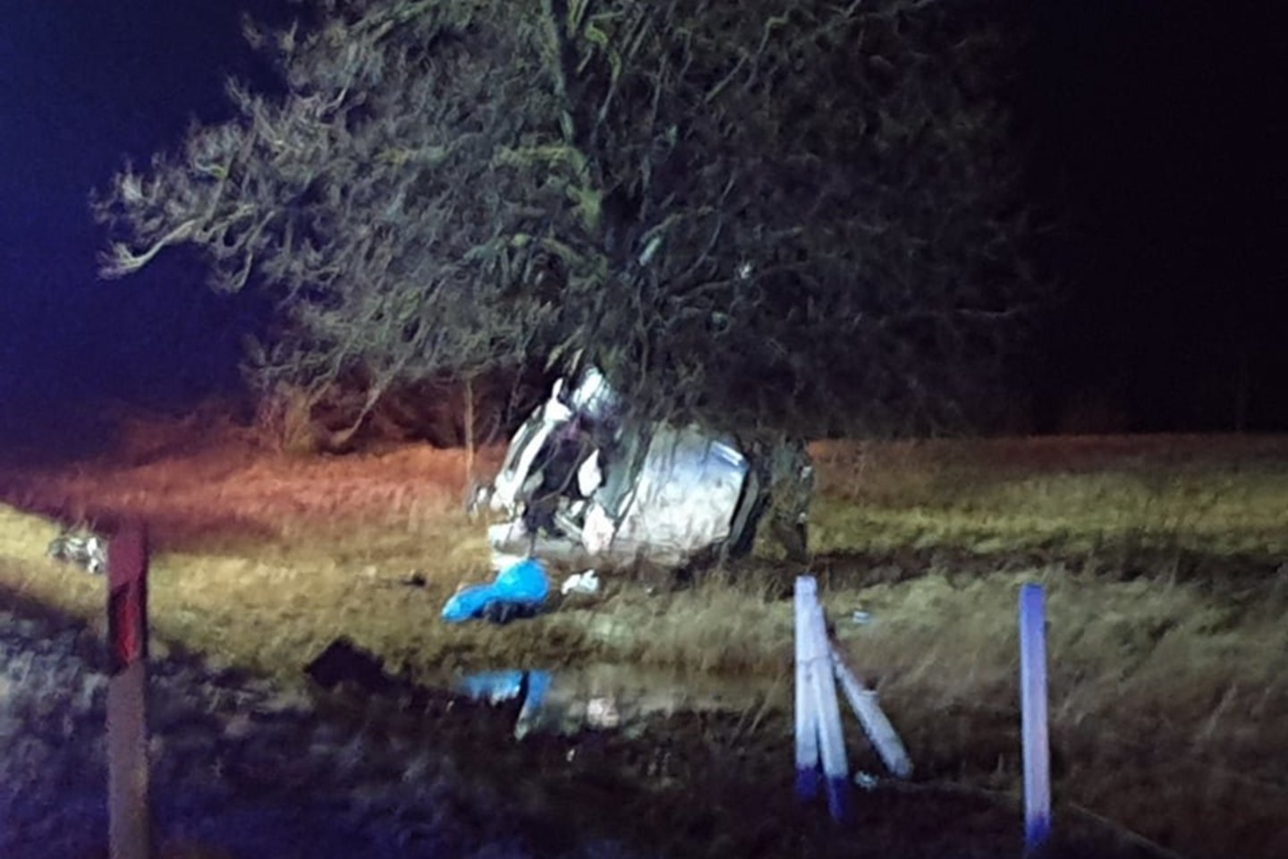 Automobiliui Panevėžio rajone atsitrenkus į medį, vienas žmogus žuvo, kitas sužalotas.<br>Gražvydo K. nuotr.