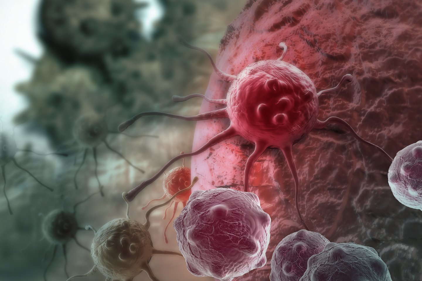 vėžio ląstelės<br>123rf iliustr.