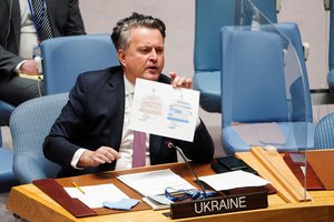 Kijevo ambasadorius JT: Ukrainos sienos „išliks nekintamos“