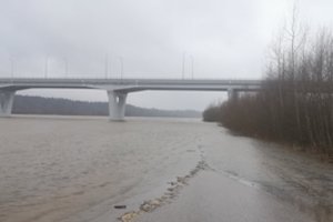 Iš krantų išsiliejęs Nemunas traukia vairuotojus „ekstremalus“: ne tik teršia gamtą, bet ir kelia sau pavojų