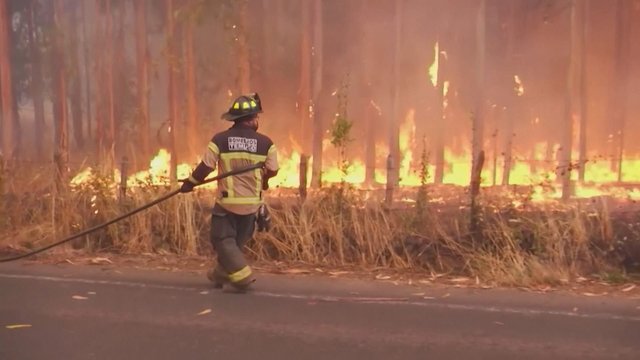 Čilėje ugniagesiai kovoja su viską niokojančiu gaisru: liepsnos apėmė ne tik miškus, bet ir namus