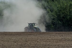 Pasėlių draudimo nuo stichinės sausros išlaidos bus iš dalies kompensuojamos