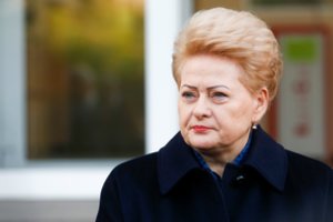 D. Grybauskaitės žinutė politikams: „Baikite virpinti orą tuščiais plepalais“